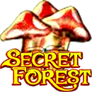 Secret Forest